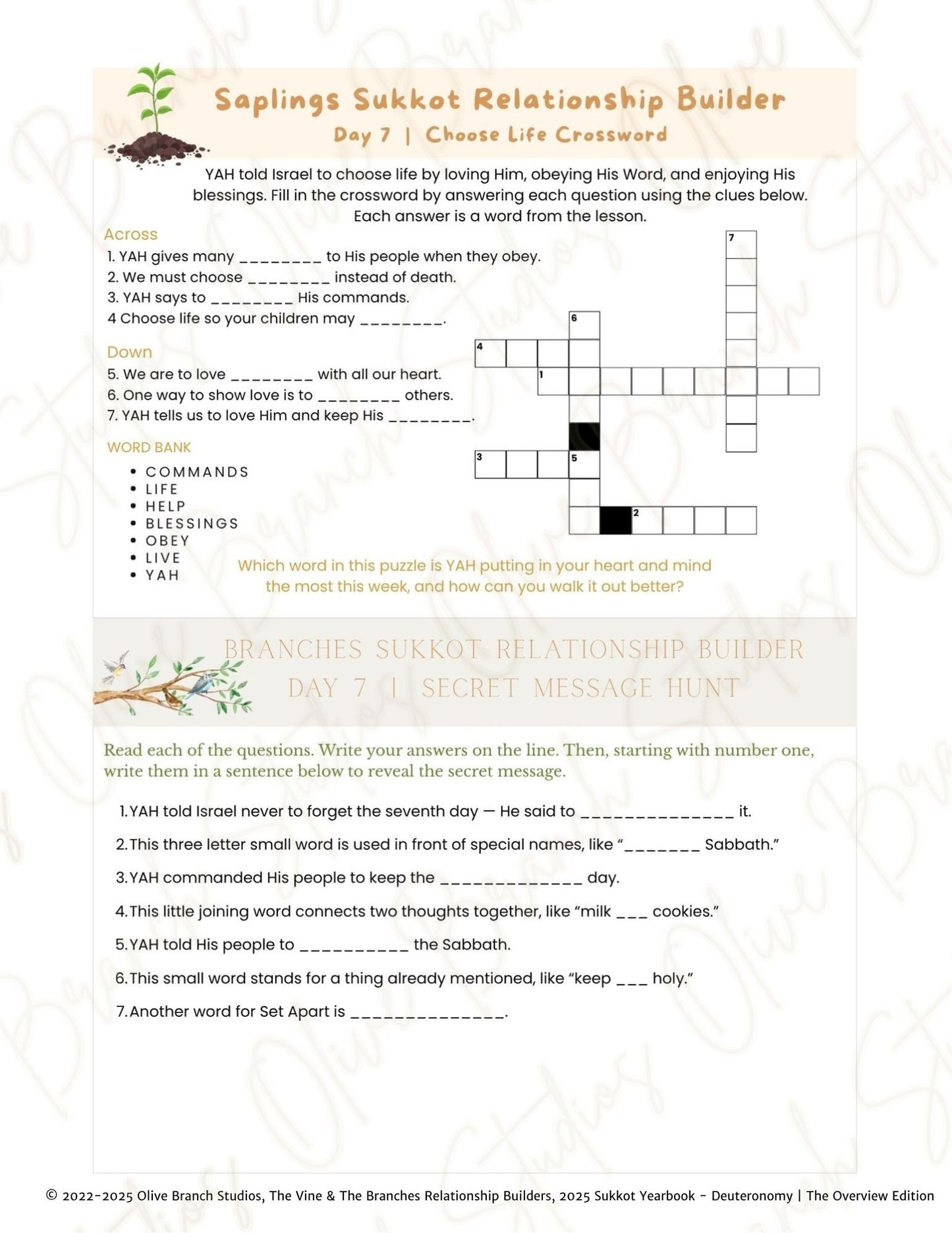 The Vine & The Branches Relationship Builder - Sukkot 2025 Yearbook, Deuteronomy | The Overview Edition